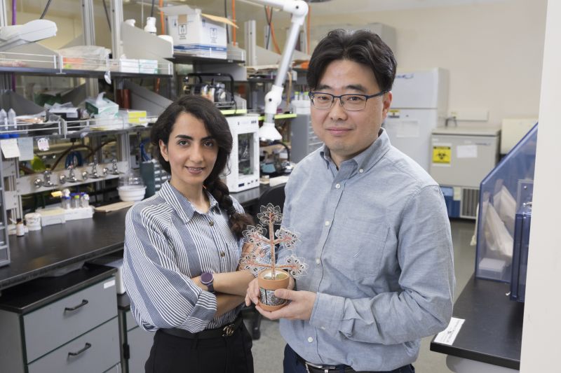 Media spotlight on Maryam's artificial plant